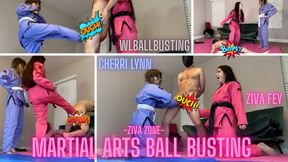 Martial Arts Ball Busting 4K