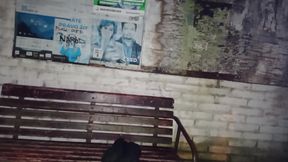 Bus Stop 2