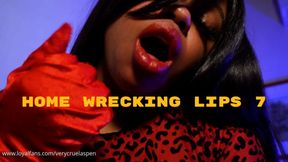 Home Wrecking Lips 7