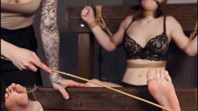 New girl Alice gets hard bastinado in stocks (Full HD mp4)