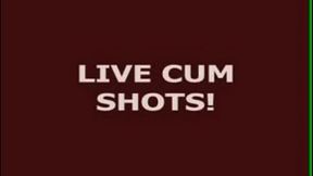 Live Ts Cum 114