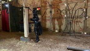 ponyplay in the barn