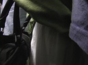 Asian Beauty Harassed on Train – Tits in Steamy Encounter