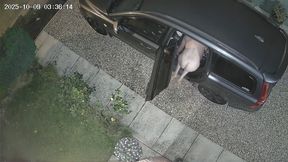 Flashing my Lilly white ass to the neighbourhood