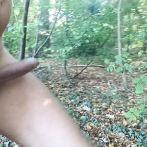 Cock out in the woods