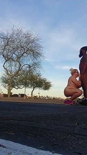 Wife Gave a Sensational Blowjob While Nude in Public!