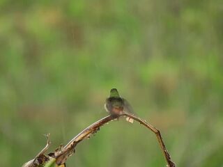 Listen to this peaceful mind relaxing whilst watching sound .Rain sound.