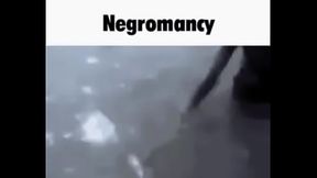 Memes