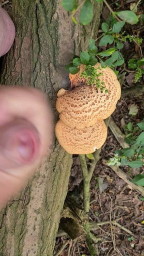 One with nature