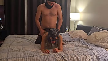 Doggie compilation
