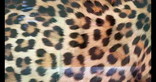 Busty blonde MILF Sadie Summers gets interracial gangbanged