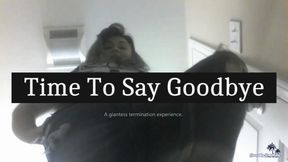 Time To Say Goodbye HD