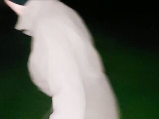 Cracky gets released from the police Station