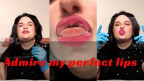 admire my lips wmv