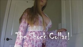 THE SHOCK COLLAR mp4