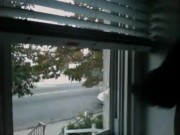 House window dick flashing