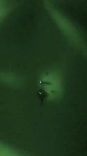 out tweaker being trippy af