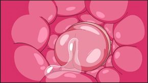 (hard degenerate) Futa Tohru x ilulu