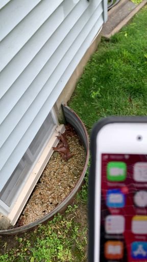 Caught Masturbating by BF