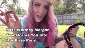 Miss Whitney Morgan Transforms You Into Her Prize Pony - wmv