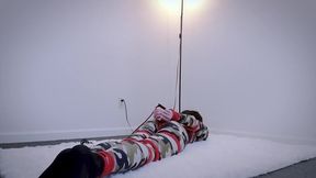 Noob Hari Got Captured In Camo Again (cd Selfbondage)