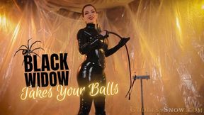 Black Widow Takes Your Balls