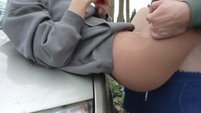 Student Driving School 2