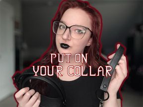 PUT ON YOUR COLLAR FOR ME