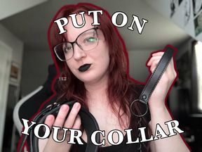PUT ON YOUR COLLAR FOR ME