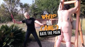 Whip or Cane? Rate the Pain HD (for Windows)