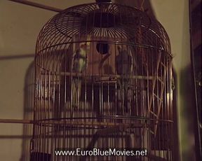 Josefine - the Fucking New Year