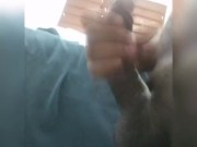 Cubanobeebo caliente, botando leche en la mañana