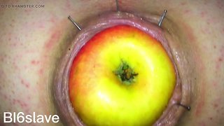 Removing an apple stuck in a pigs backside