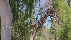 Video uploaded by @Katt-Leya @Boob Grab & #Outdoor #Big Boobs #Ebony nsfw film xxx | Tik.Porn