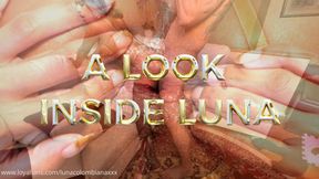 A look inside Luna GAPE