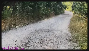 Passionate Encounter with a Stranger - Intense HD Porn