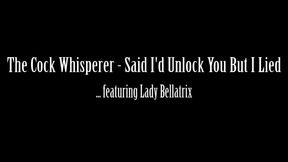 The Cock Whisperer - Said I’d Unlock You, But I Lied
