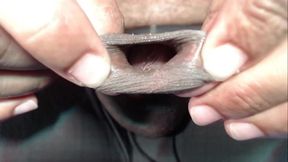 Stallion in Underwear Playing and Talking Dirty While Masturbating
