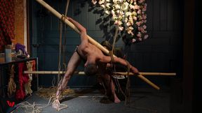 Beautiful Zeus Bound in Jute Shibari Elegance to Powerless Predicament Strain