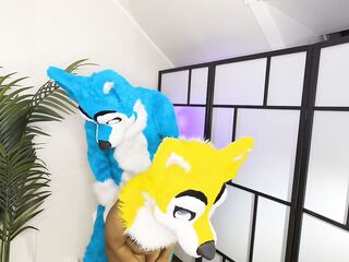 FURRIES IN HEAT MATING , CUM INSIDE