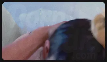 Ballet Dancer Mia Salazar's Sensual Encounter