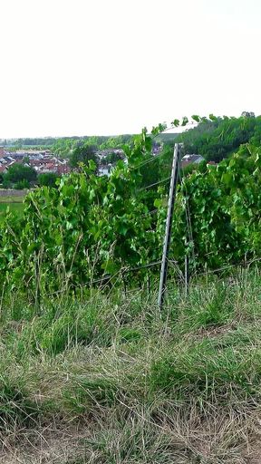 Skinny German Latina Teen Christy Ley Talk to Outdoor Fuck by Stranger