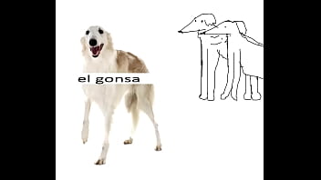 Los Borzoi - El Gonsa (Single Completo)