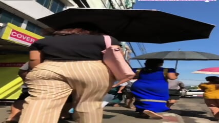 Myanmar walking ass