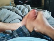 Quick nut