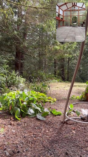 Setting up the Green House