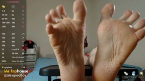 Puppy Shows off His Paws up Close