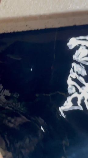 Colombia 12 - Part One - Billy Jasson