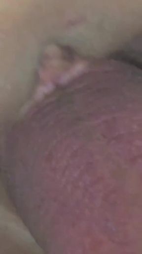Bull Films the Moment He Cums in Your Wife's Pussy Close up Creampie