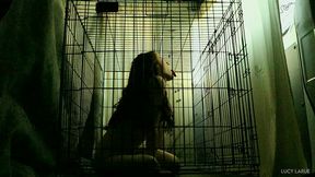 petgirl gets left in a van on a hot day